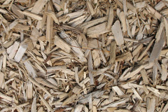 biomass boilers Coppathorne