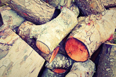 Coppathorne wood burning boiler costs